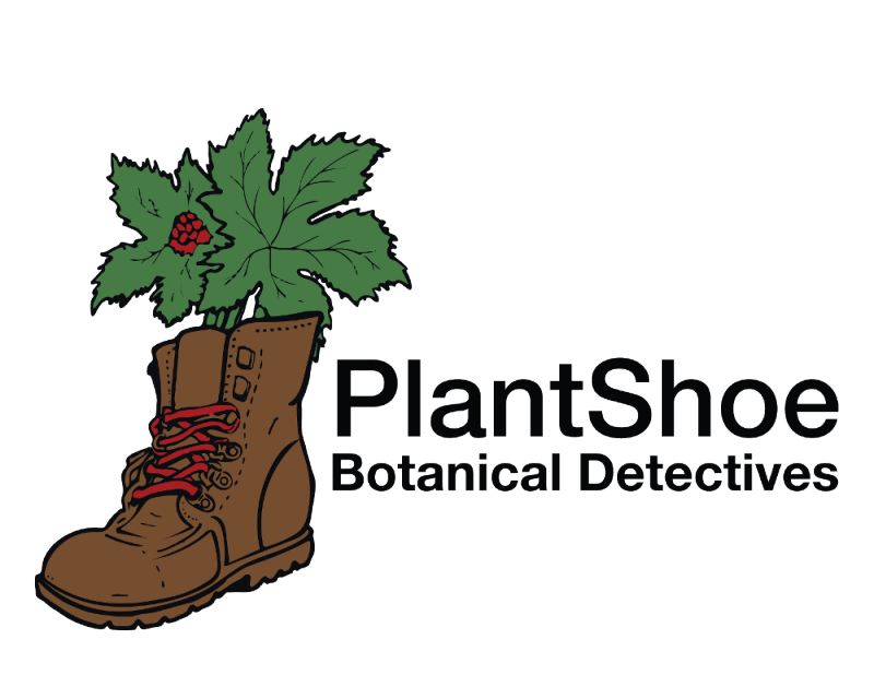 Plantshoe