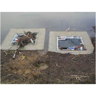 Trash accumulating after a heavy rain.